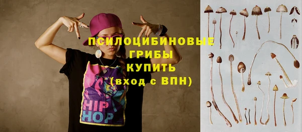 кристаллы Мегион