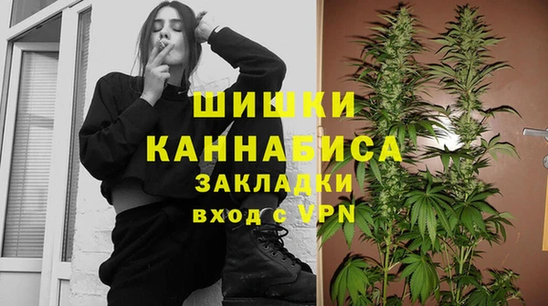 амф Тында