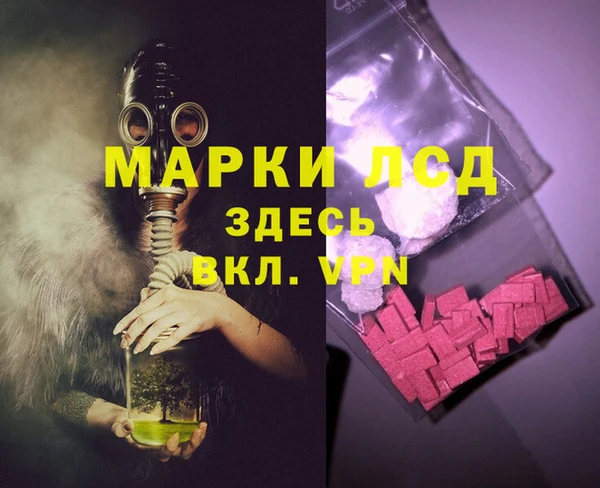 ешки Снежногорск