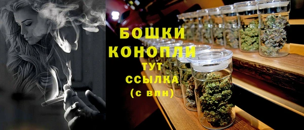ешки Снежногорск