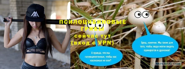 ешки Снежногорск