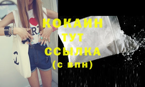 герыч Снежинск
