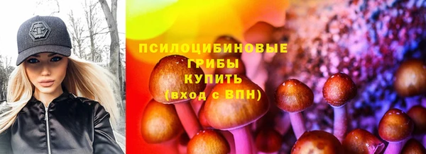 ешки Снежногорск