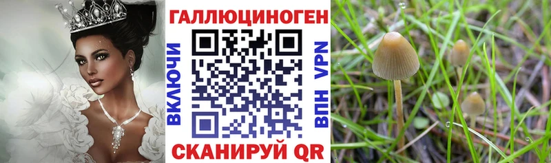 Псилоцибиновые грибы мицелий  Вилюйск 