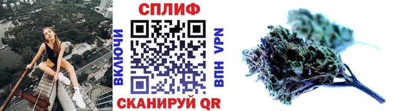 Каннабис гибрид Вилюйск